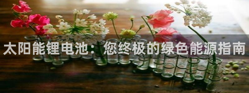 尊龙凯时 人生就是搏 平台