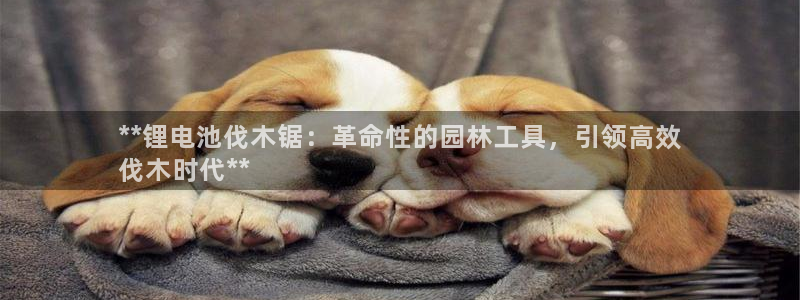 尊龙凯时白家乐Abb下载