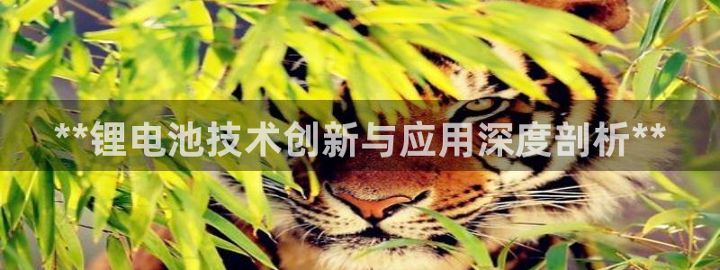 尊龙新版人生就是博!