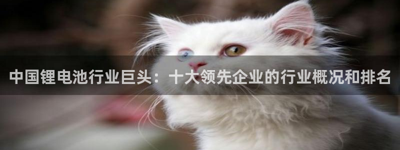 尊龙凯时为什么输了钱
