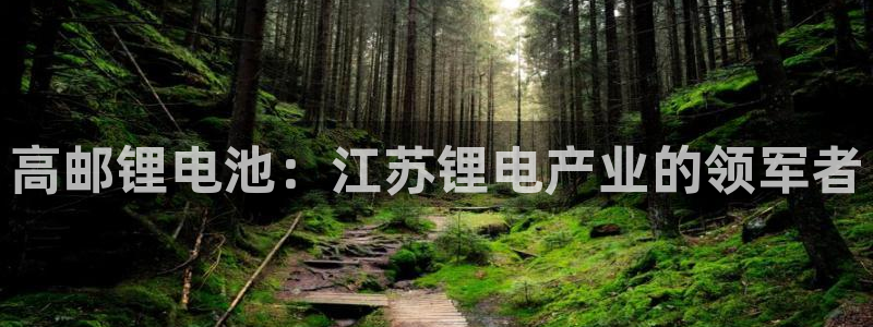 尊龙集团有限公司地址