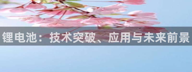 尊龙凯时登陆网址