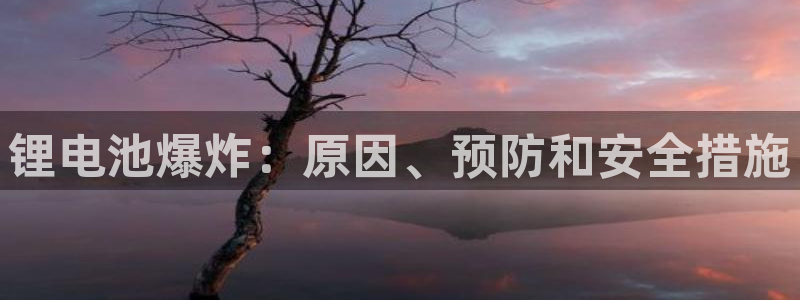 尊龙凯时vip