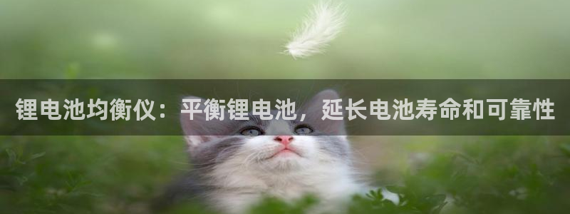 凯时kb88·中国官方网站