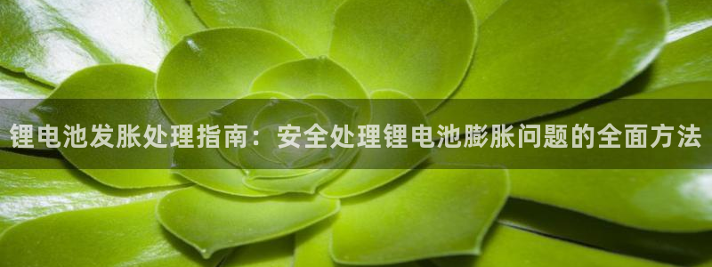 尊龙AG旗舰厅官网