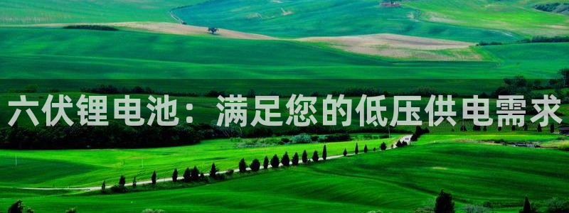 尊龙集团有限公司地址