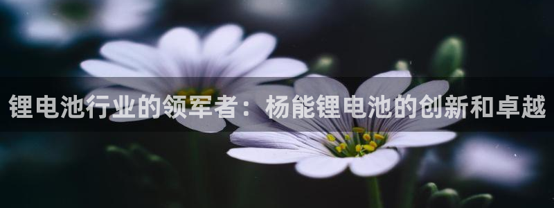 尊龙凯时企业文化