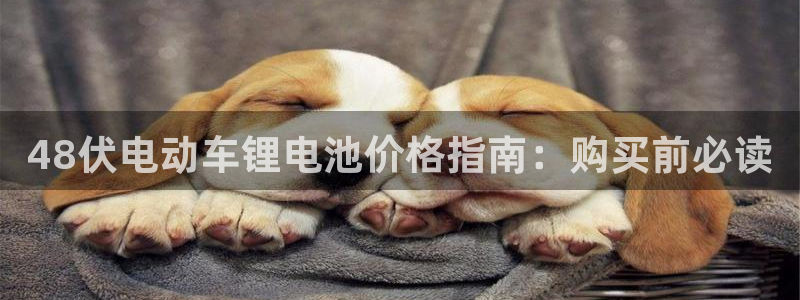 尊龙游戏app官方网站