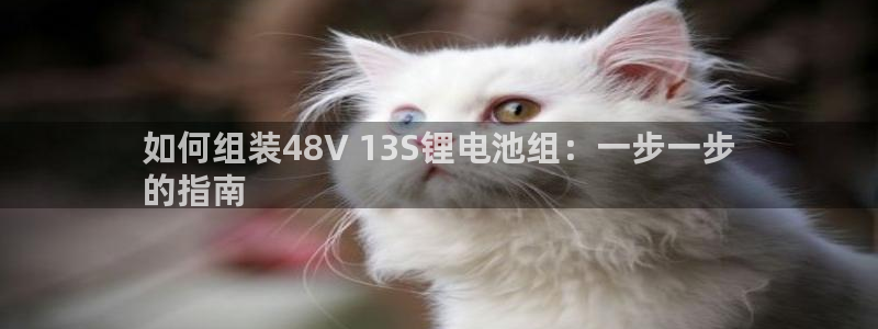 尊龙凯时下载人生就是博