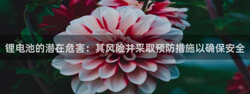 尊龙凯时客服