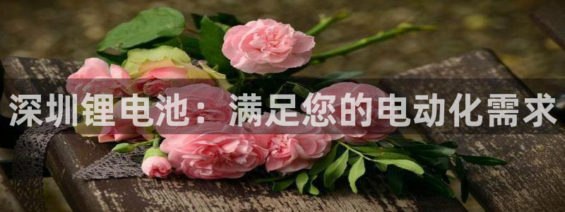 尊龙d88官网赢来就送38