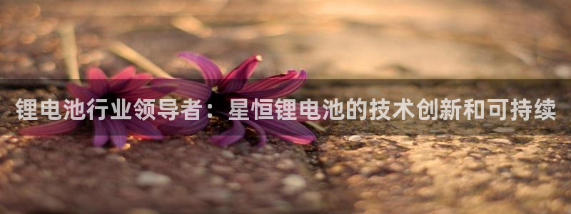 凯时平台app