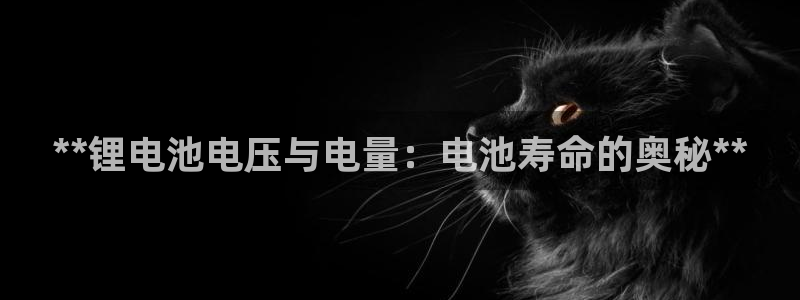 凯时AG网
