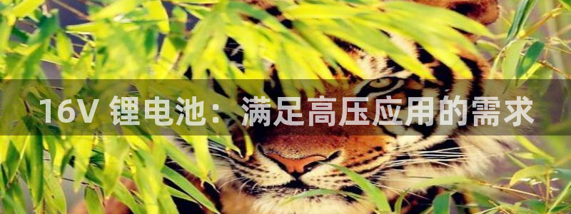尊龙体育正规么