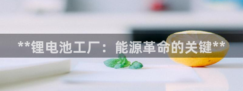 尊龙凯时凯发官网