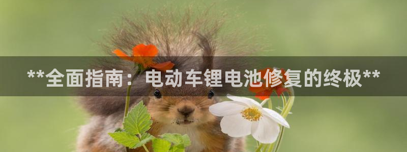 尊龙凯时出款