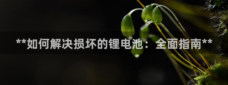 尊龙新版app首页