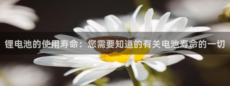 尊龙凯时为什么输了钱