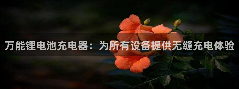 尊龙集团有限公司是国企吗