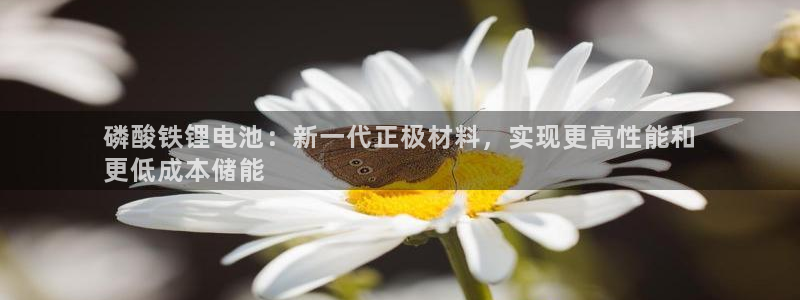 尊龙凯时白家乐
