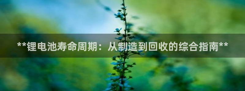 尊龙实业 吴友良