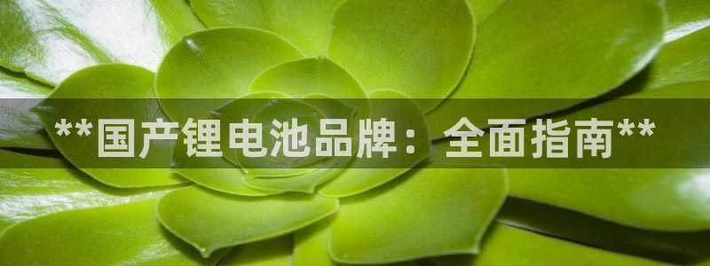 尊龙凯时和九游会哪个平台好一点