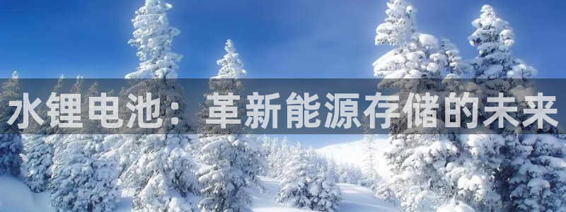 尊龙凯时家居是品牌吗