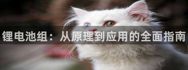 尊龙用现金娱乐一下下载旧