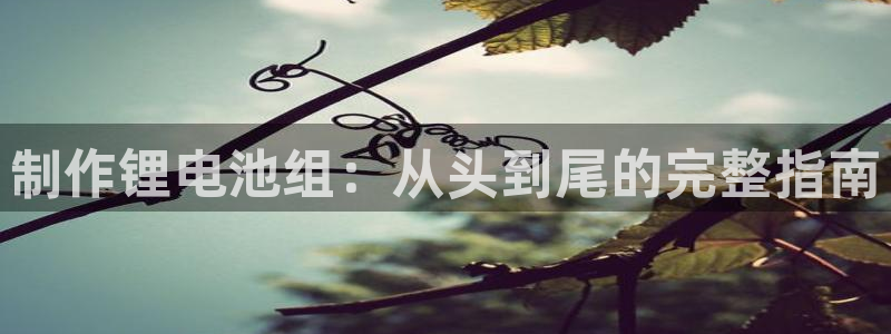 尊龙官方网站