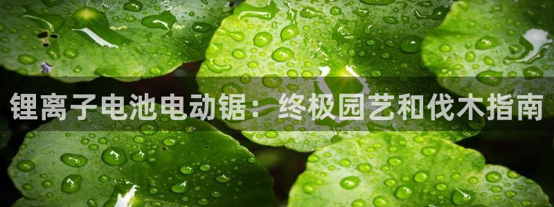 尊龙凯时人生就是搏技术实力
