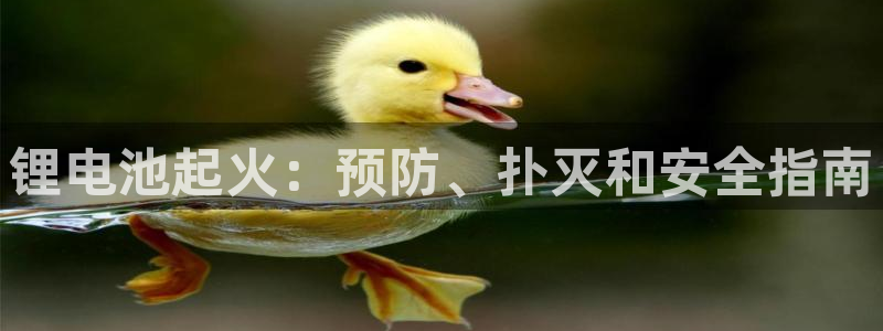 尊龙凯时一人生就是博登入