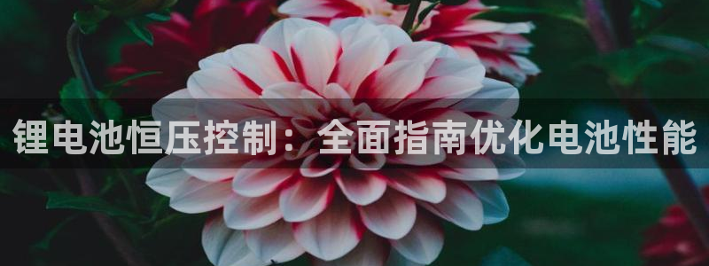 尊龙凯时app官方网站