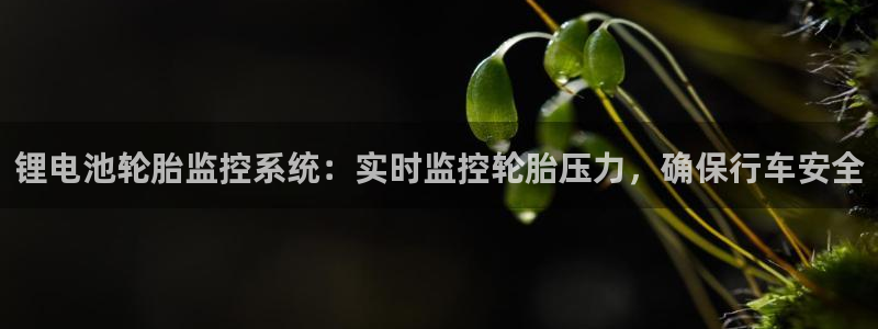 尊龙z6.con