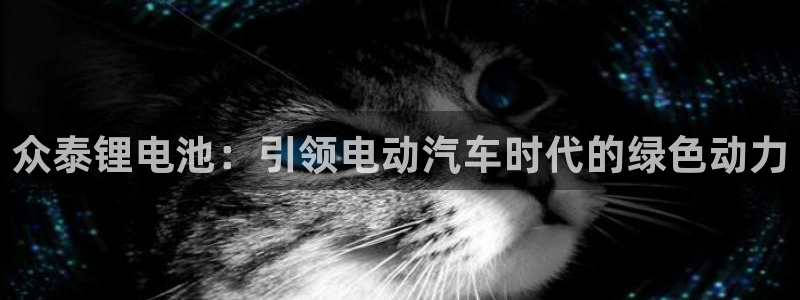 z6尊龙凯时旗