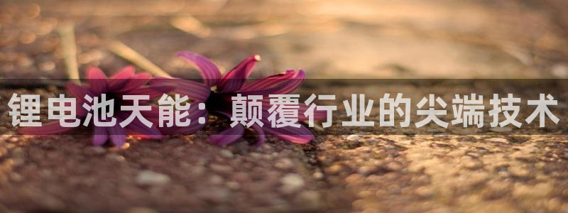 尊龙手机客户端下载APP