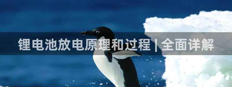 凯时国际app首页下载