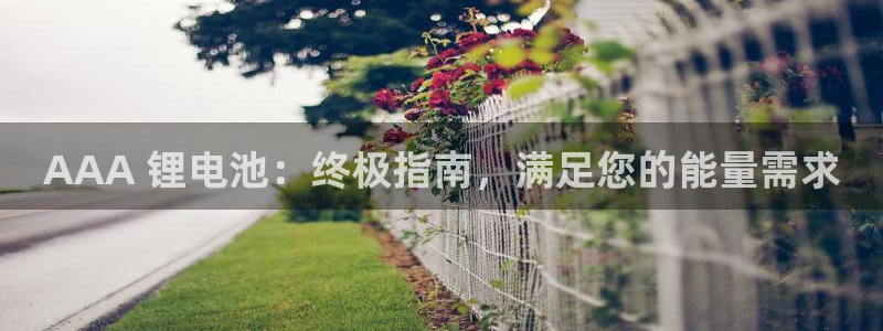 尊龙凯时官网首页
