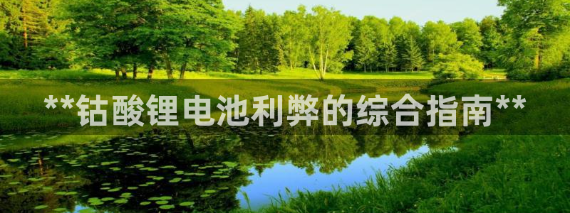 尊龙内地