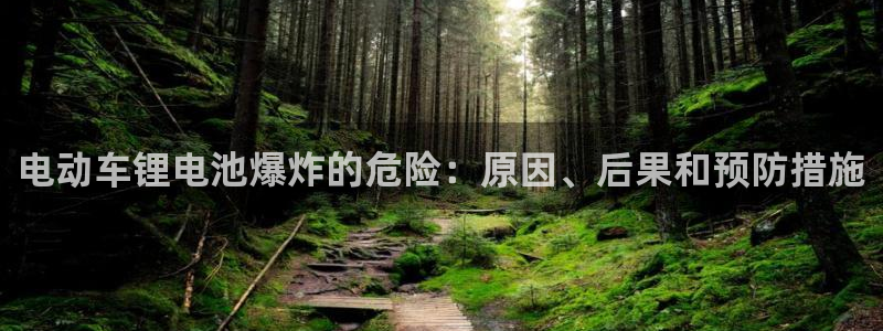 凯时网址多少