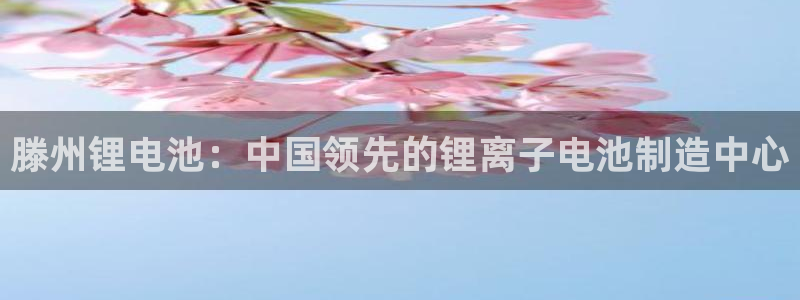 尊龙凯时白家乐