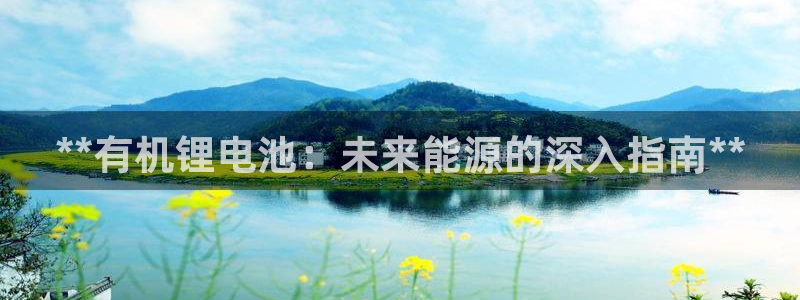 尊龙凯时老板