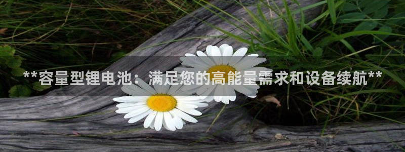 尊龙凯时-人生就是博中国官网