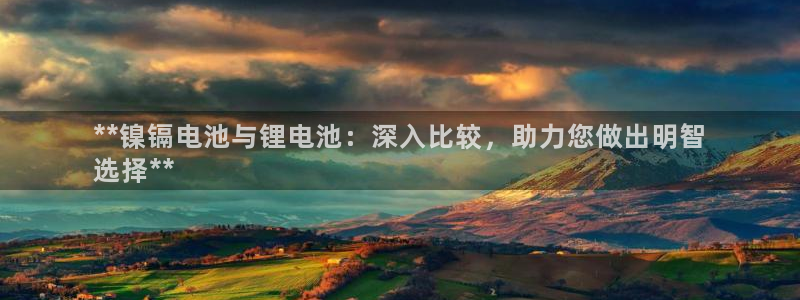 Z6尊龙老版