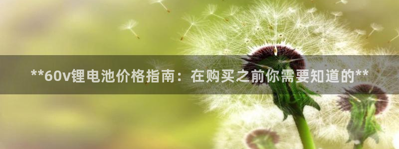 尊龙官网手机版