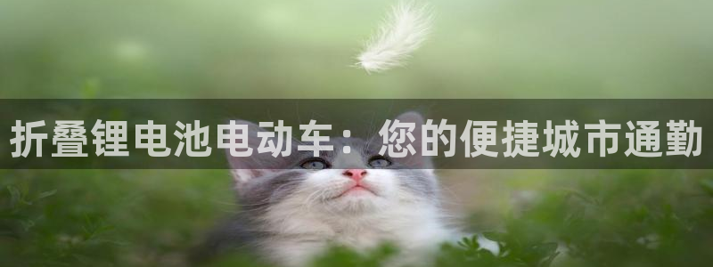 尊龙下载推荐网站