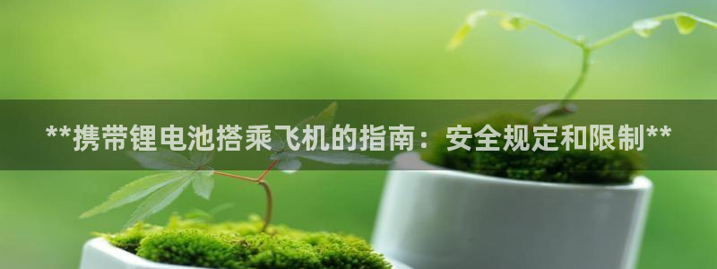 尊龙ag旗舰