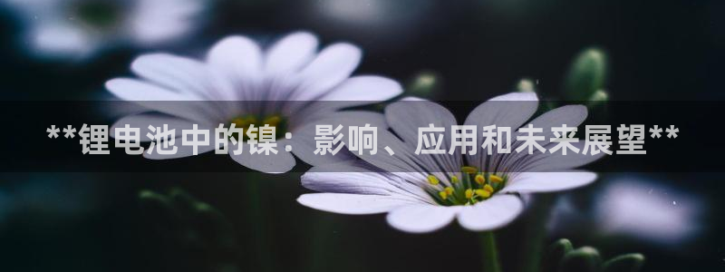 凯时国际平台有人赢吗
