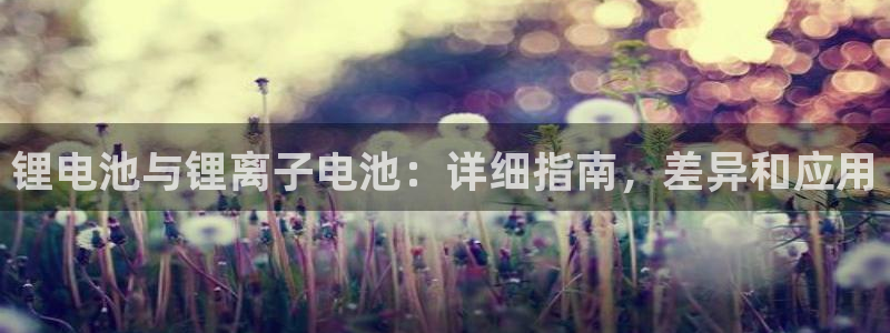 尊龙凯时国际