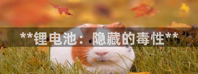 尊龙凯时是赌博嘛
