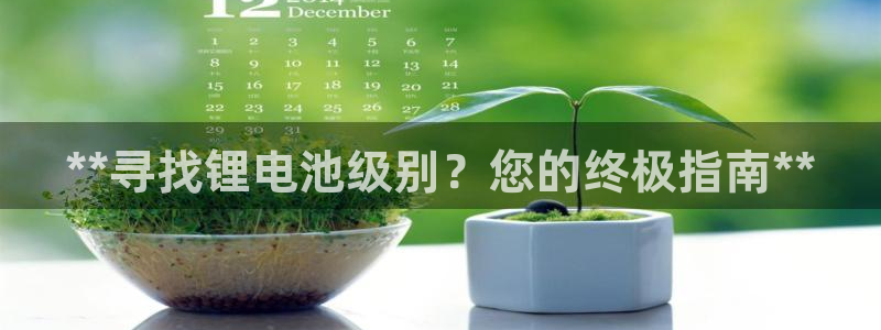 尊龙凯时泰安